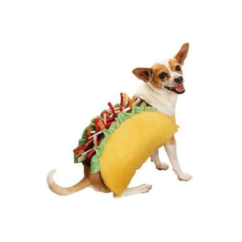 Bootique Dog Cat Halloween Costume Taco Bout It Petco Size L